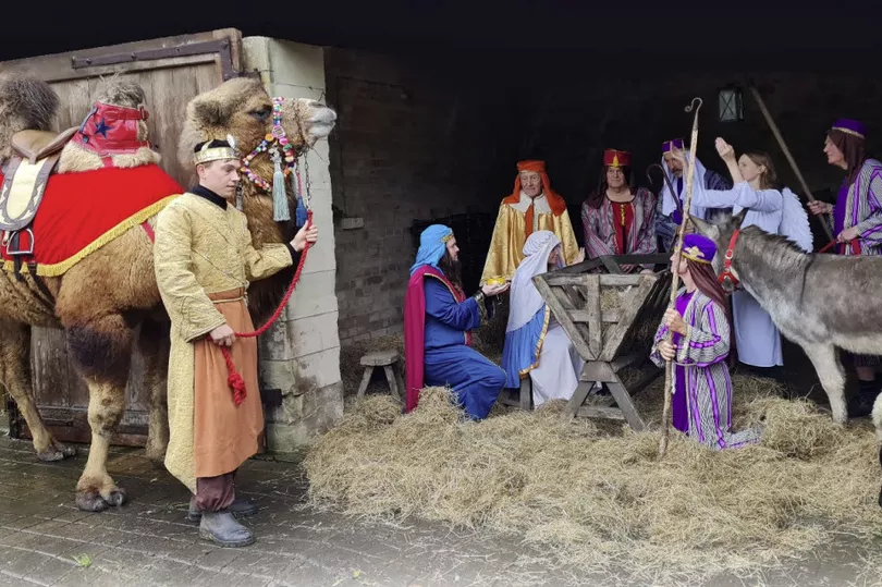 Camels, donkeys and sheep to feature in nativity procession through Kent village